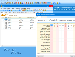 Program kadry płace - kadry - ewidencja czasu pracy